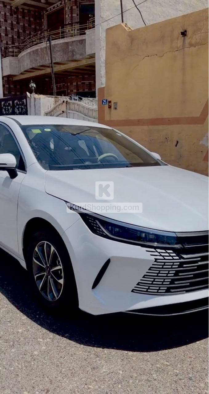 BYD DESTROYER 05 2025