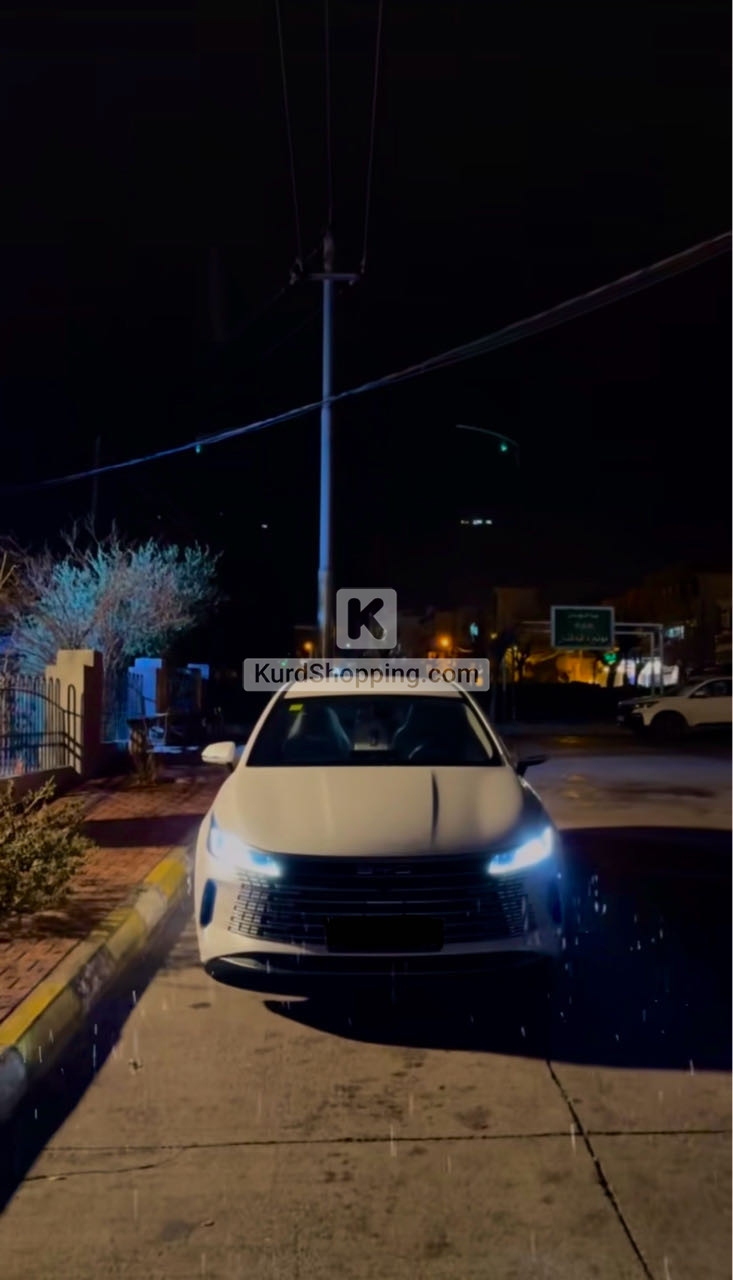BYD DESTROYER 05 2025