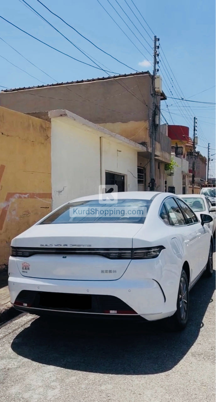 BYD DESTROYER 05 2025