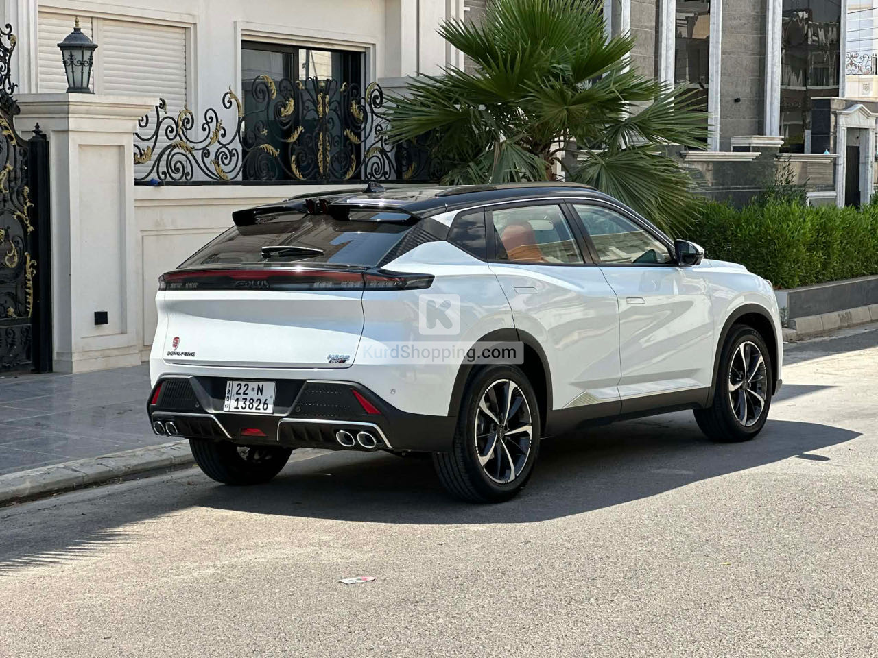 Dongfeng Mage 2025