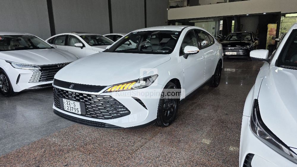 BYD QIN PLUS 2025
