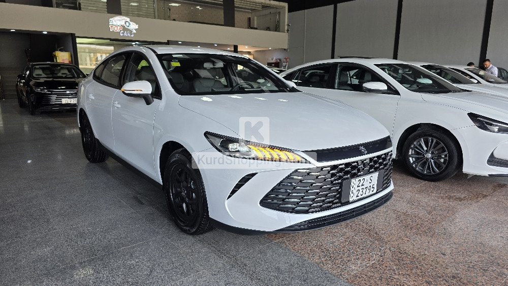 BYD QIN PLUS 2025