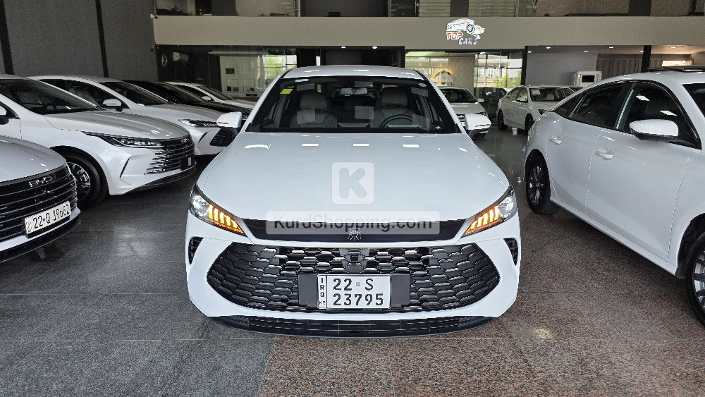 BYD QIN PLUS 2025
