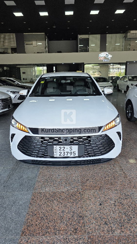 BYD QIN PLUS 2025
