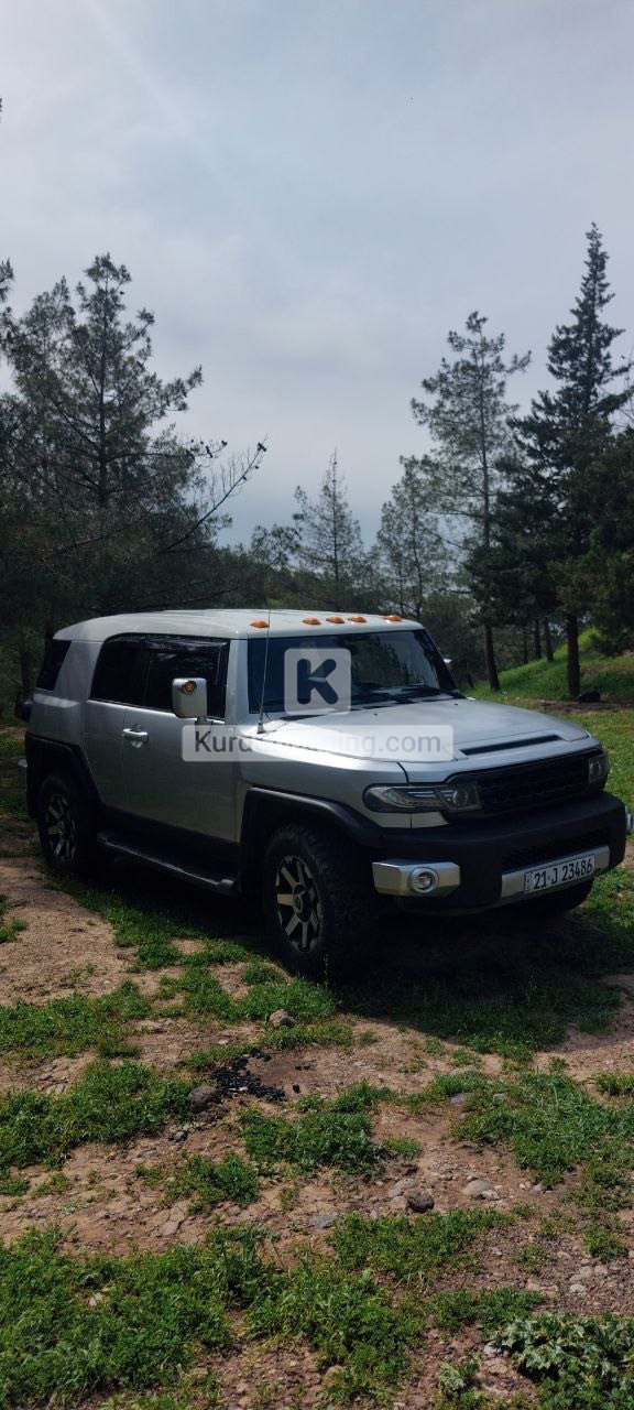 Toyota FJ Cruiser 2010