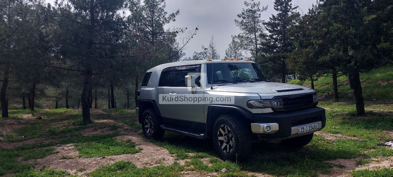 Toyota FJ Cruiser 2010