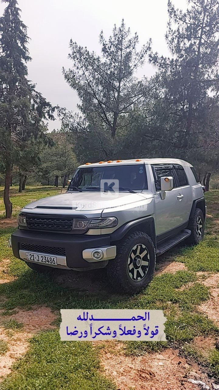Toyota FJ Cruiser 2010