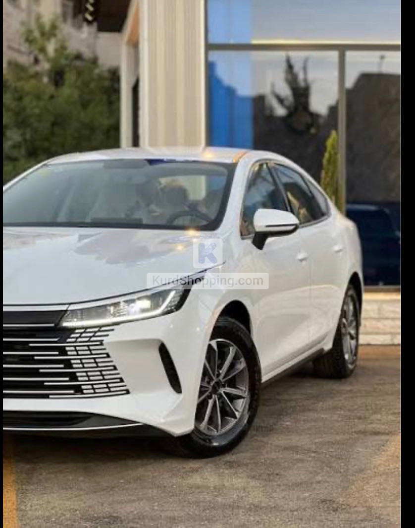 BYD DESTROYER 05 2025