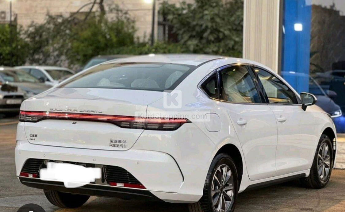 BYD DESTROYER 05 2025