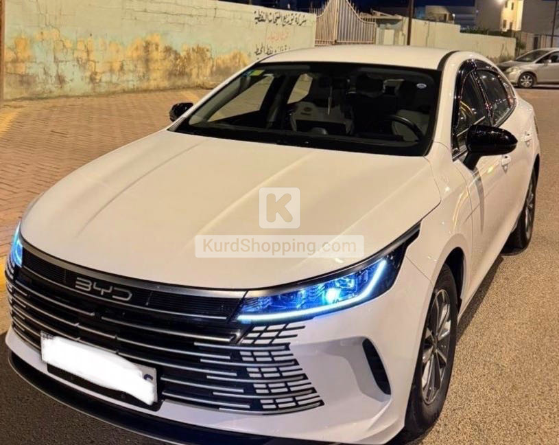 BYD DESTROYER 05 2025