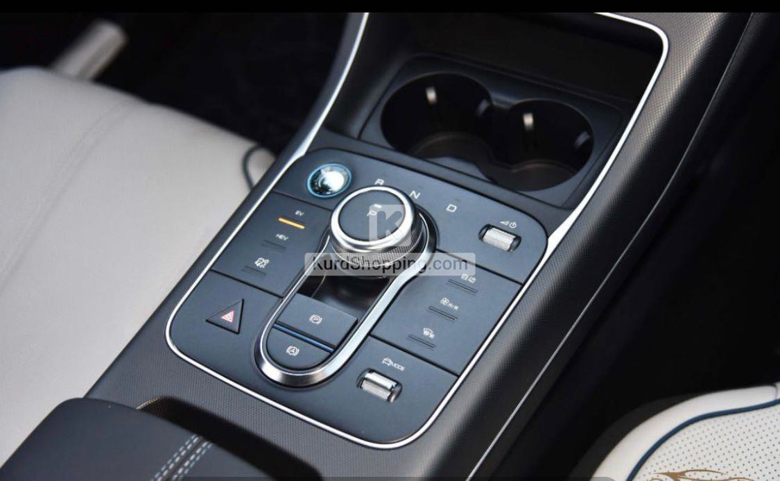 BYD DESTROYER 05 2025