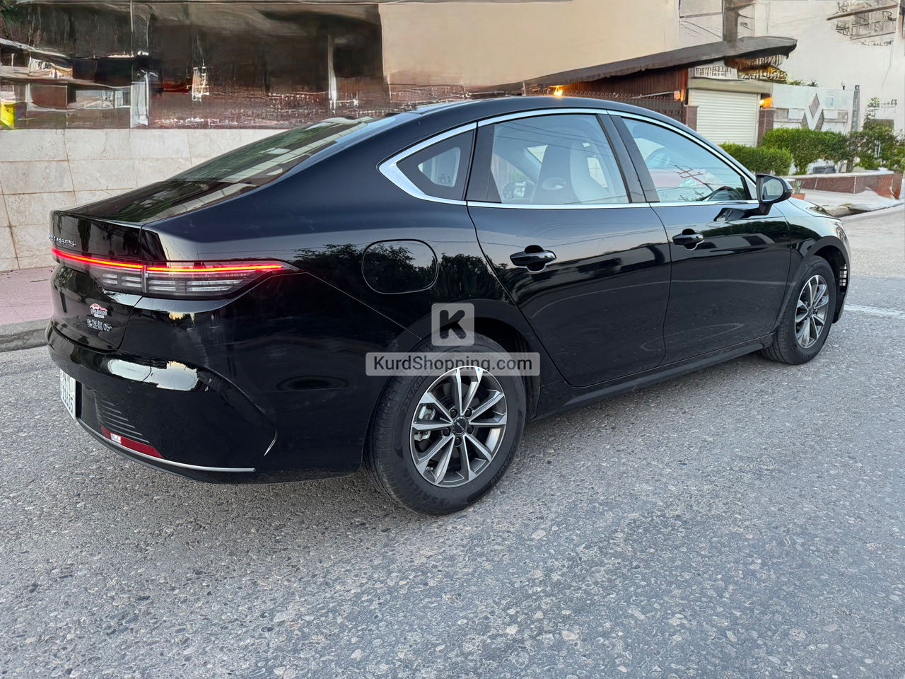 BYD DESTROYER 05 2025