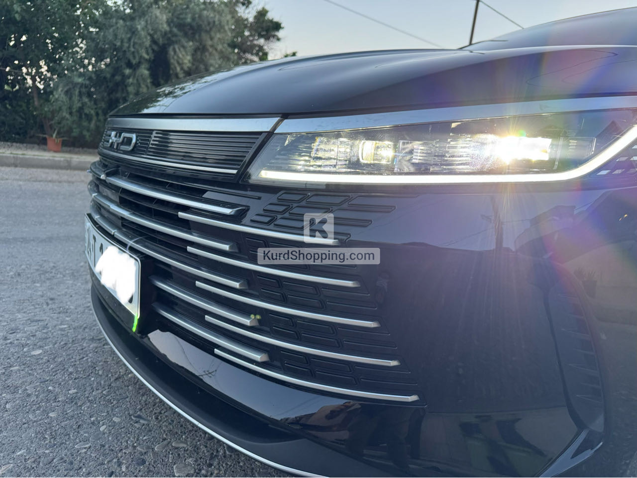 BYD DESTROYER 05 2025