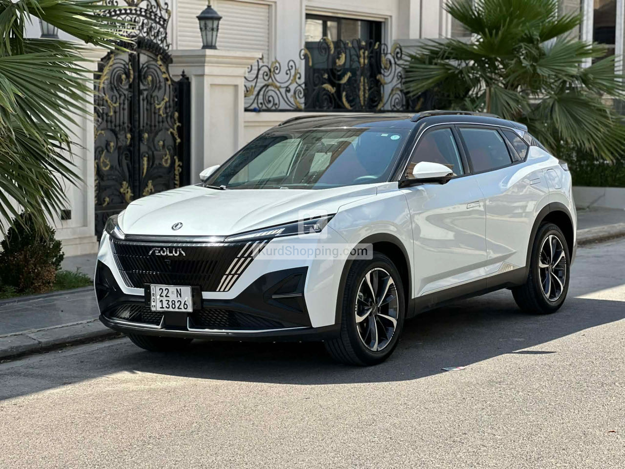Dongfeng Forthing 2025