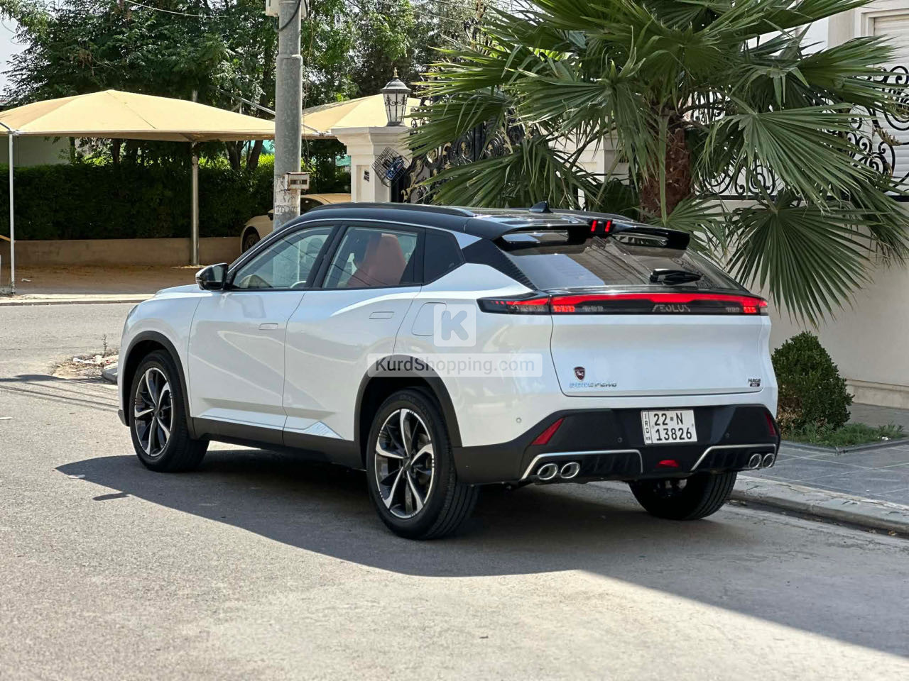 Dongfeng Forthing 2025