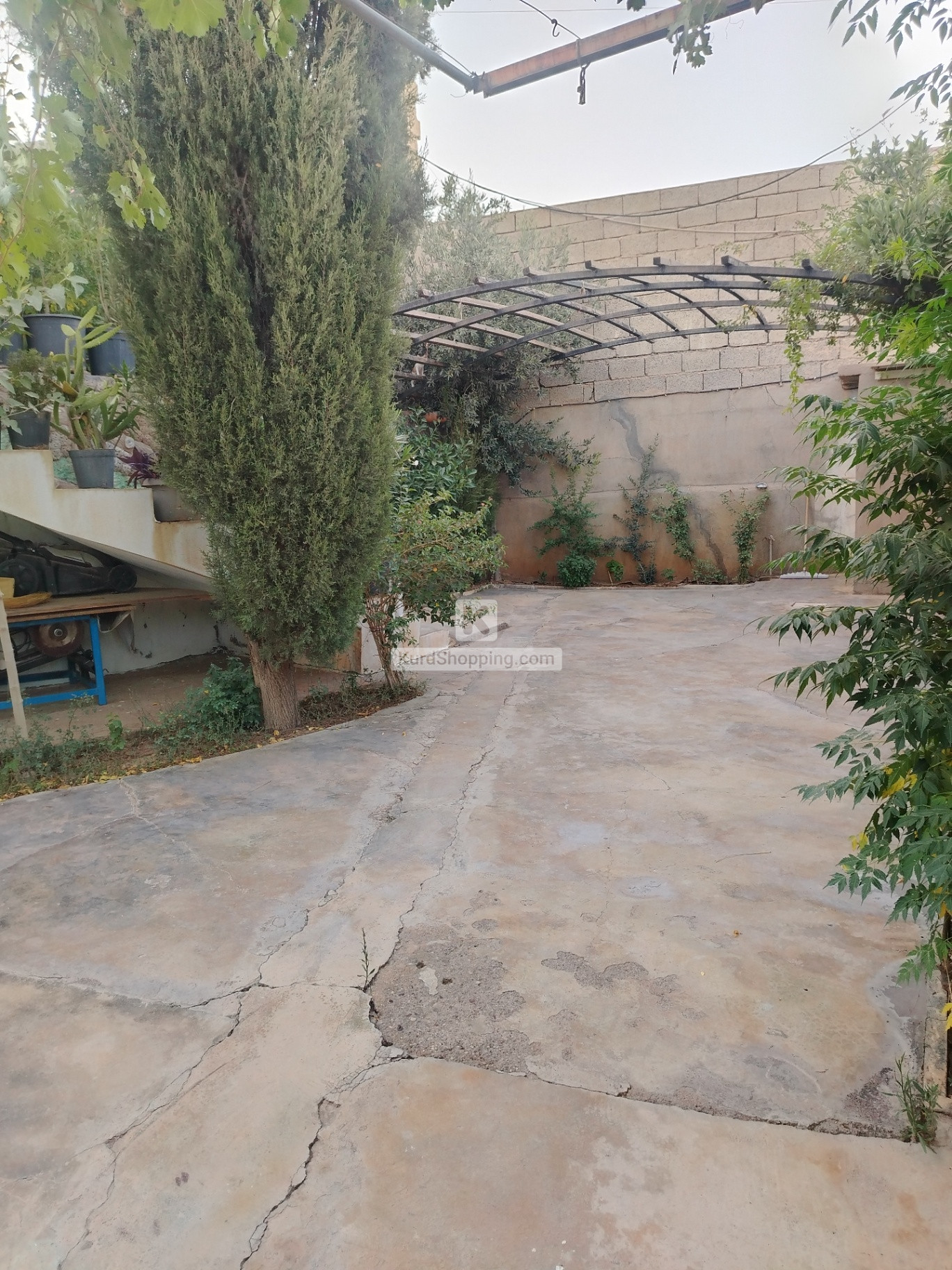 خانوو