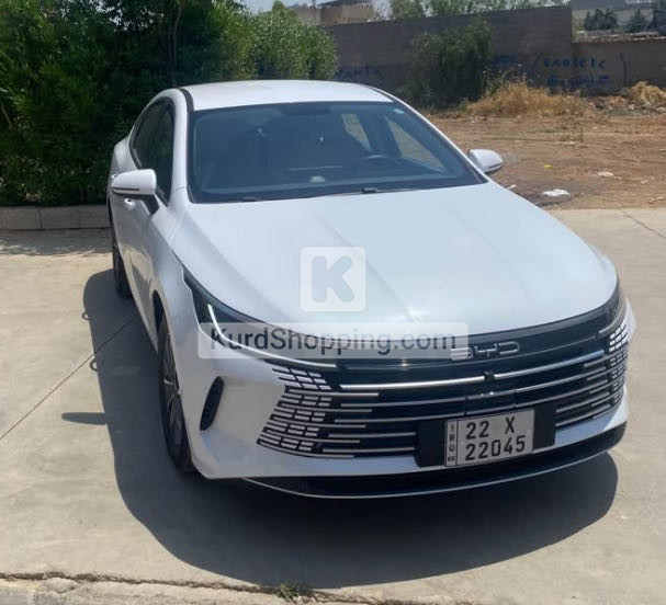 BYD DESTROYER 05 2025