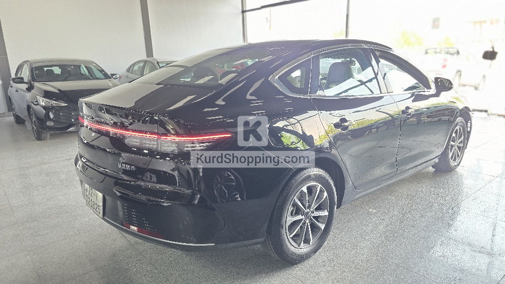 BYD DESTROYER 05 2025