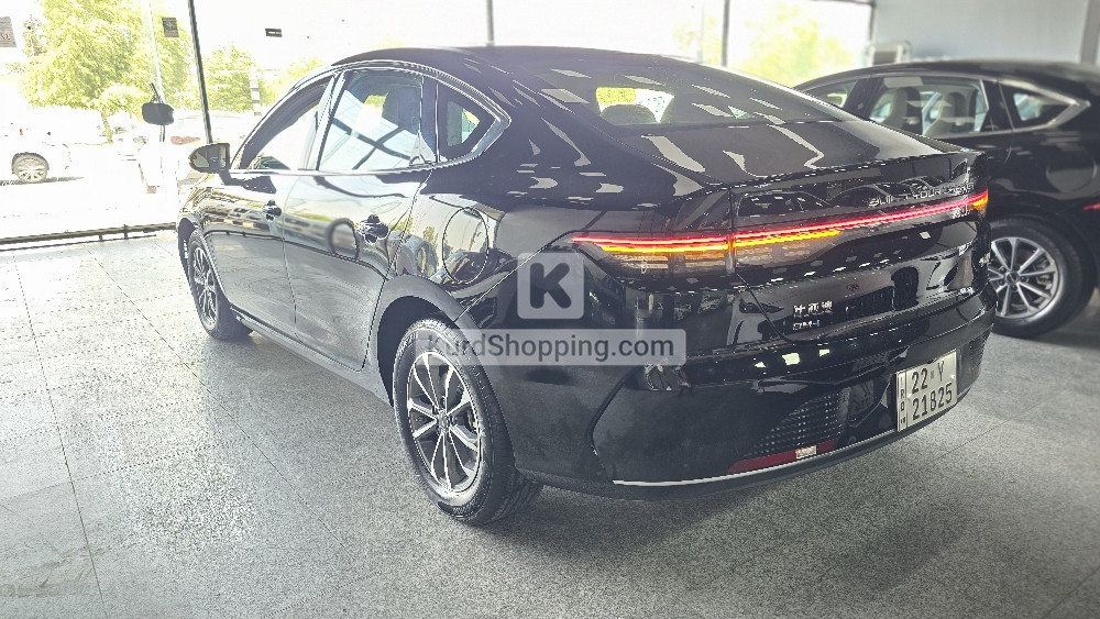 BYD DESTROYER 05 2025