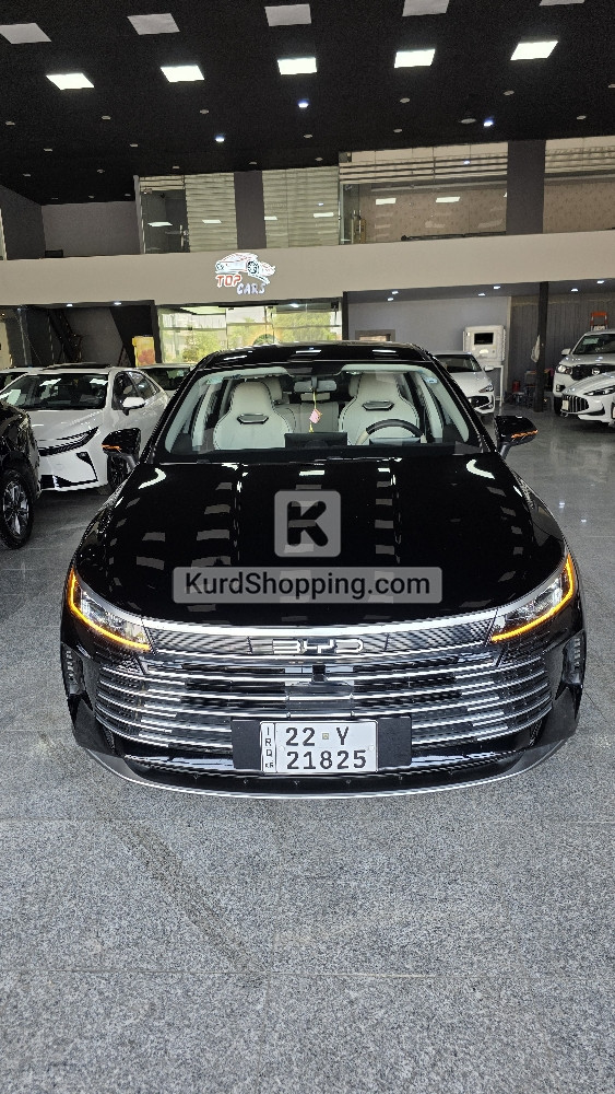 BYD DESTROYER 05 2025