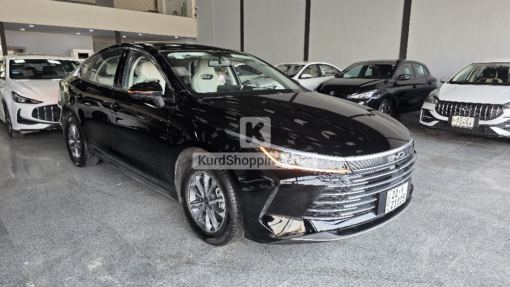 BYD DESTROYER 05 2025