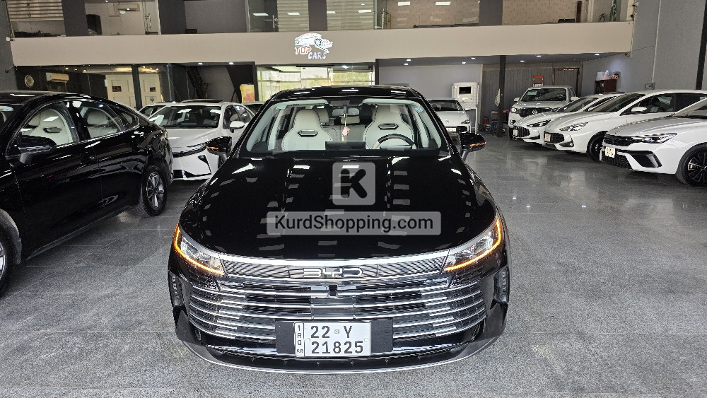 BYD DESTROYER 05 2025