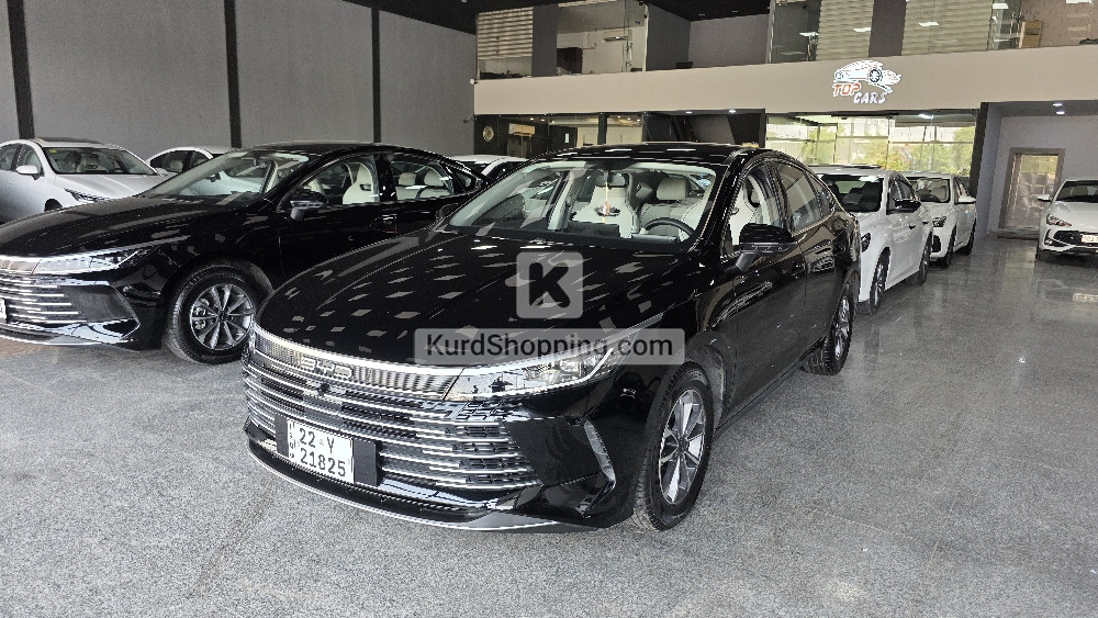 BYD DESTROYER 05 2025