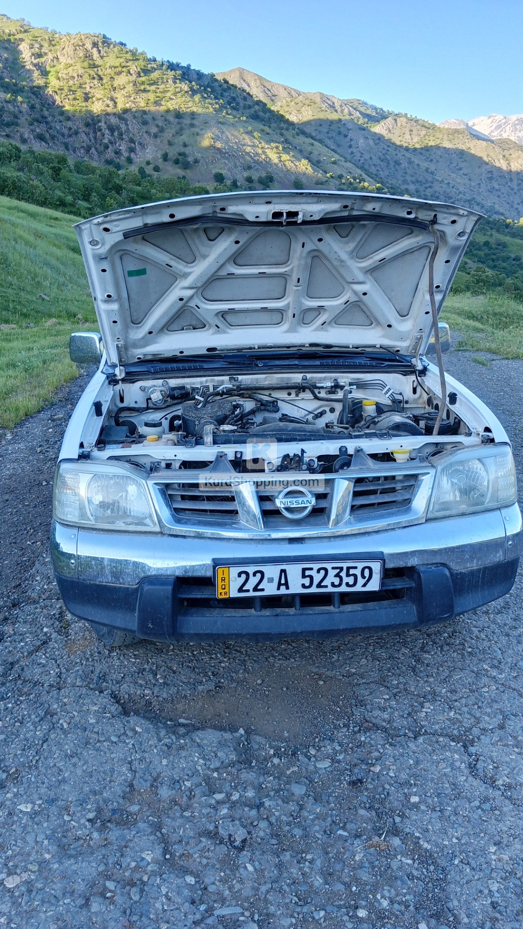 Nissan Pickup 2008