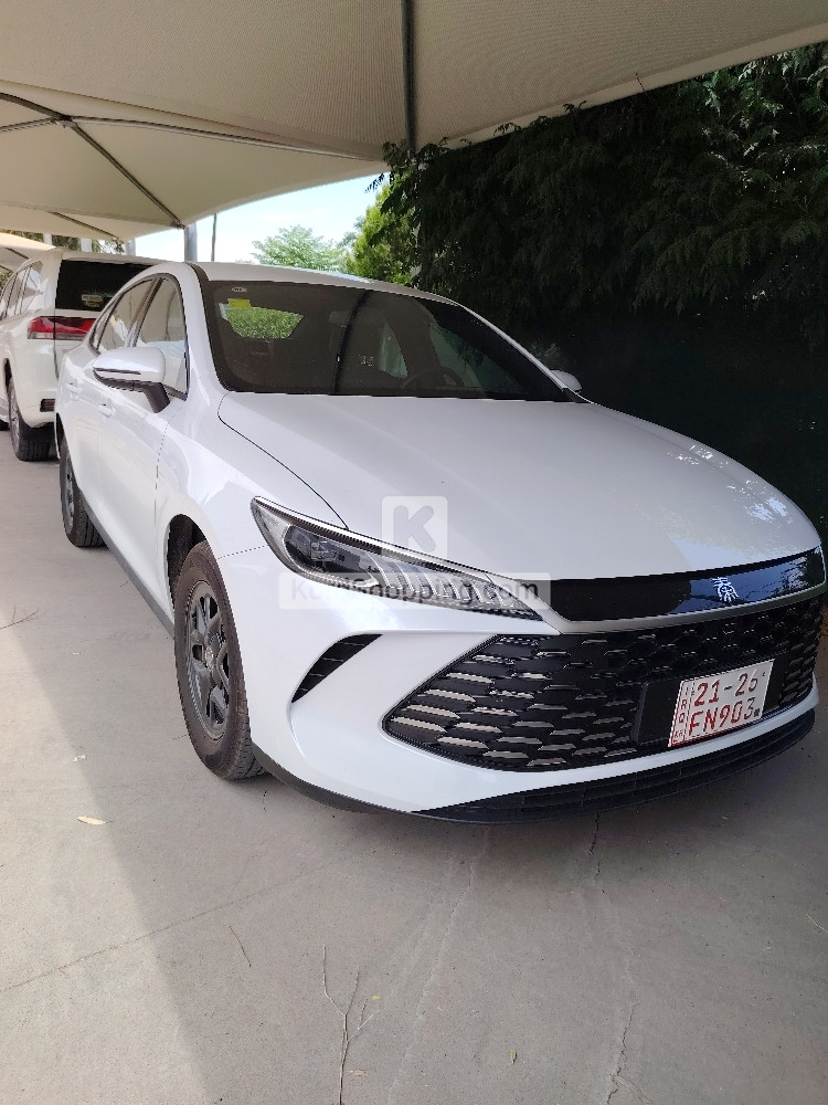 BYD QIN PLUS 2025