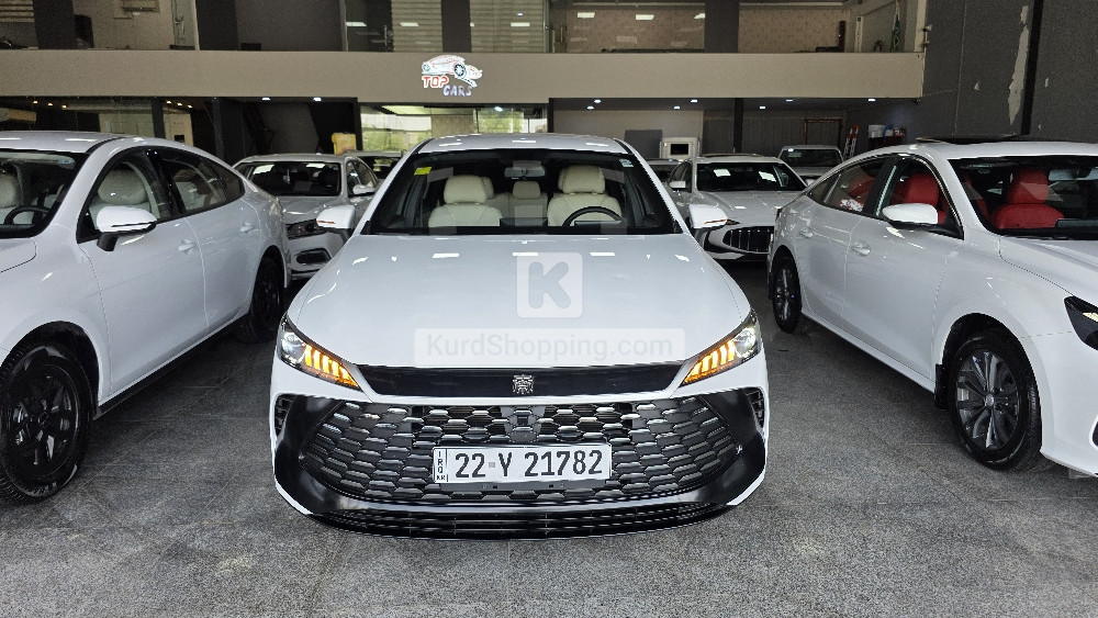 BYD QIN PLUS 2025