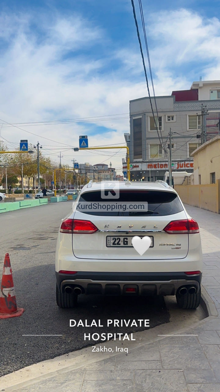 HAVAL H6 2020