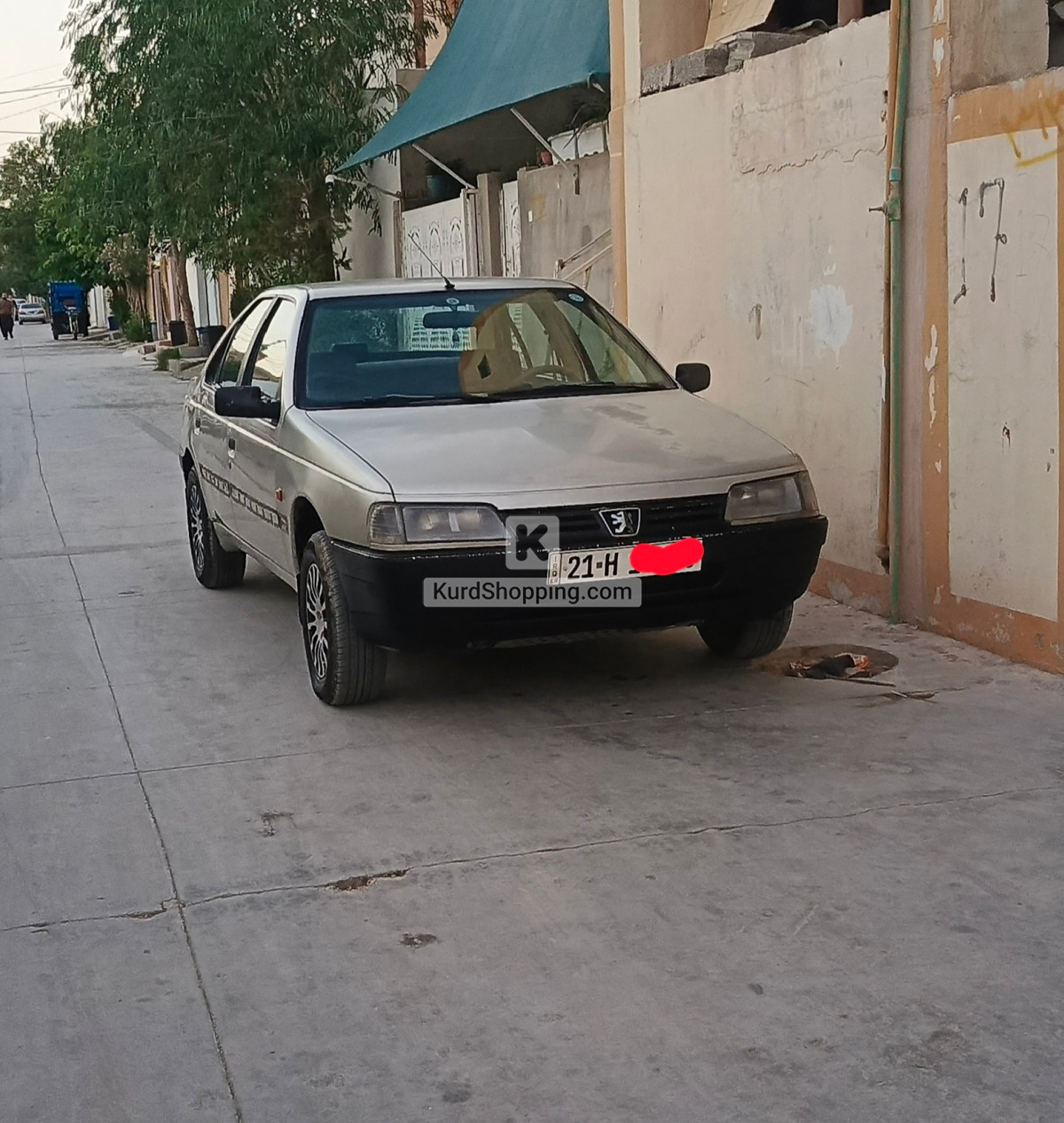 Peugeot 405 2009