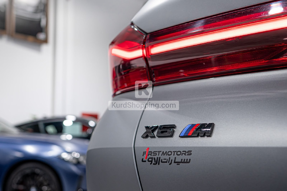 BMW X6 2025