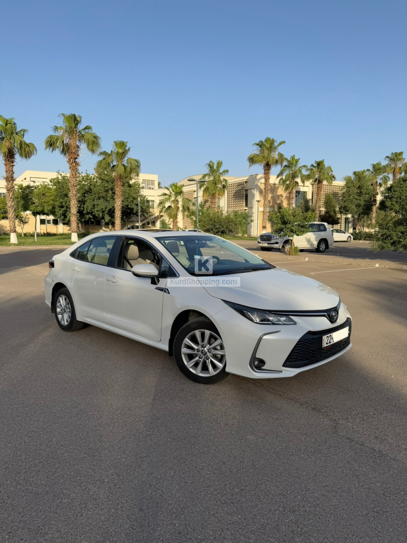 Toyota Corolla 2024
