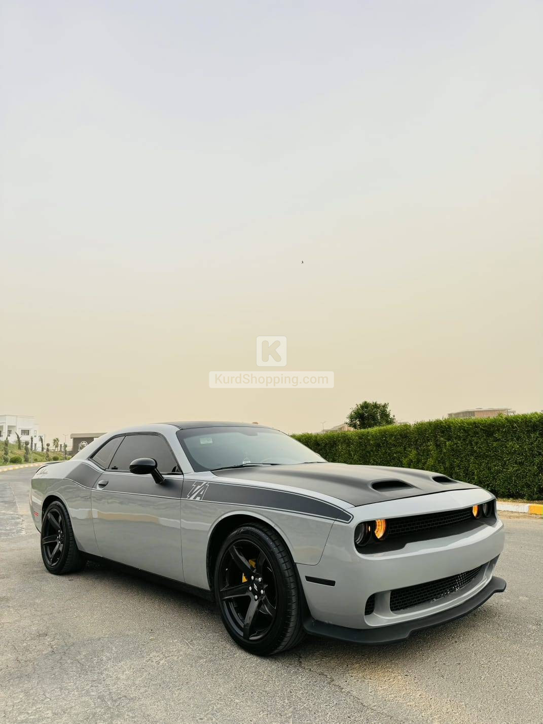 Dodge Challenger 2019