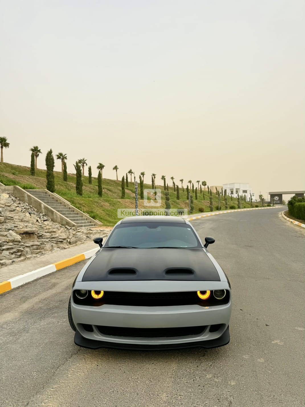Dodge Challenger 2019