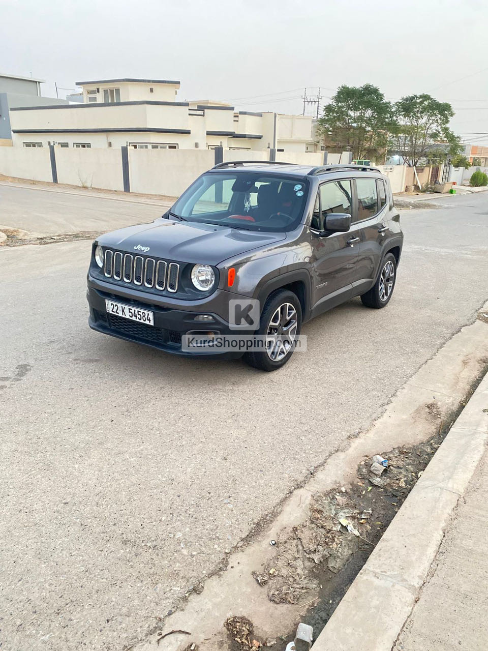 JEEP Renegade 2018