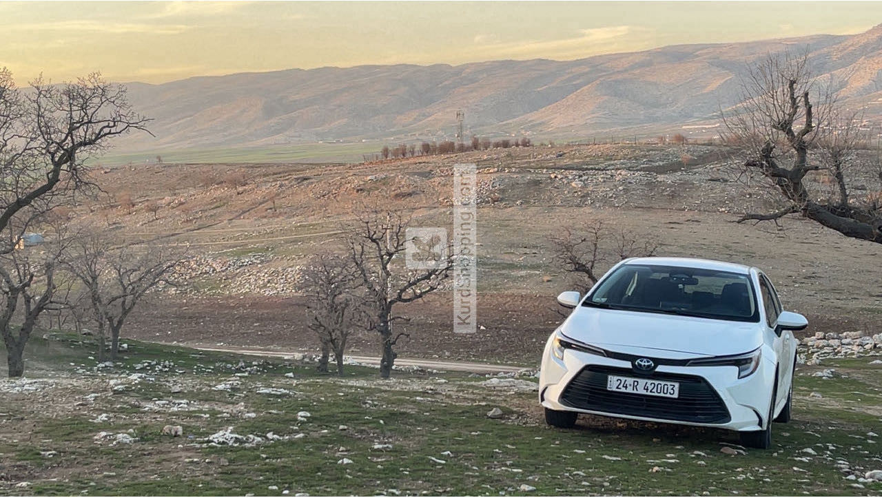 Toyota Corolla 2023