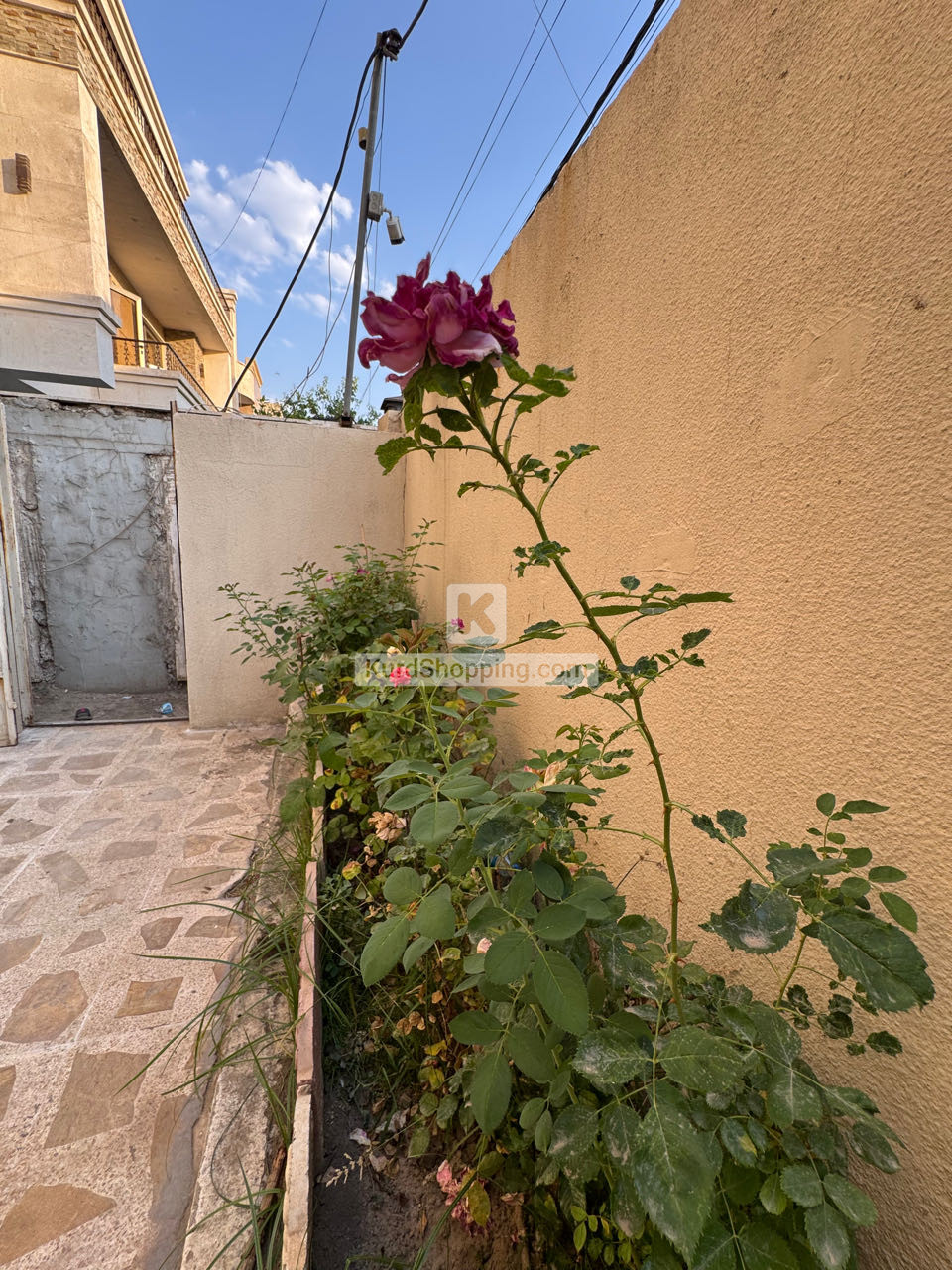 خانوبؤفرؤشتن له روناكي