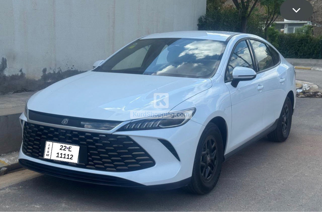 BYD QIN PLUS 2025