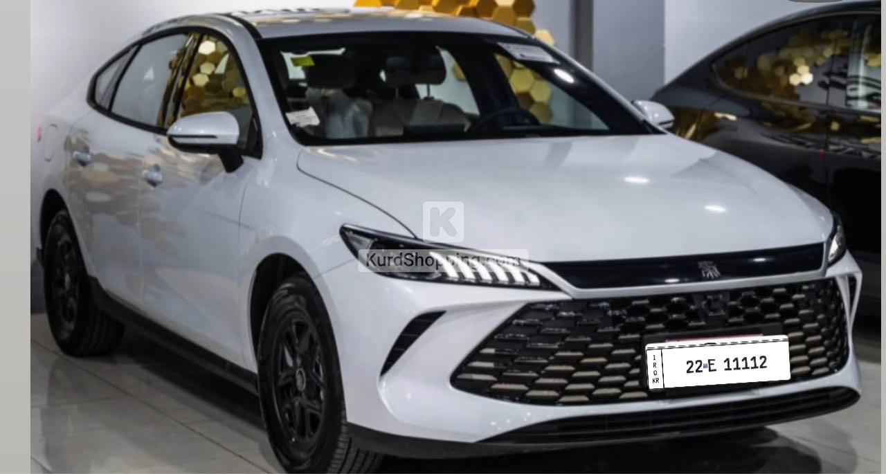 BYD QIN PLUS 2025