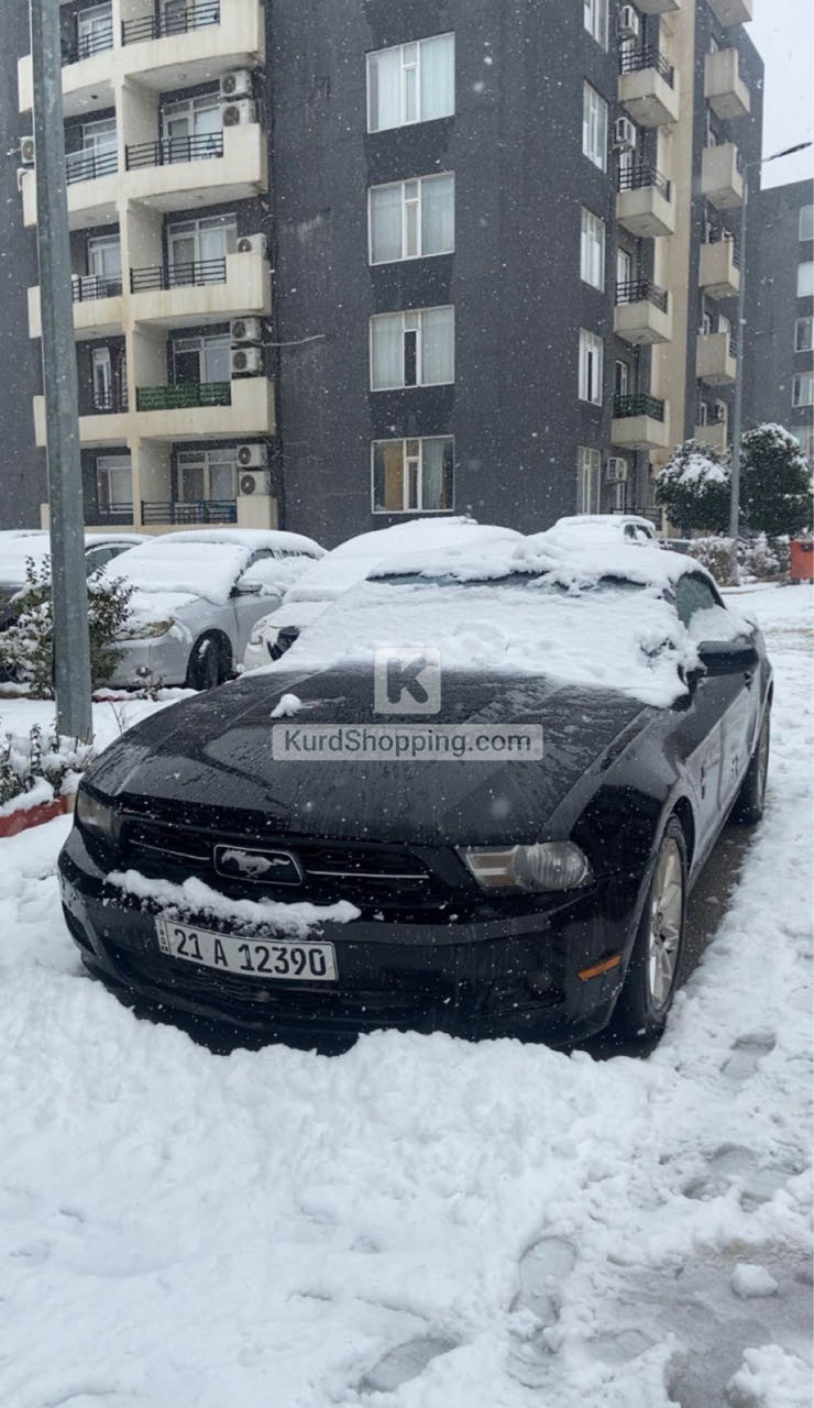 Ford Mustang 2010