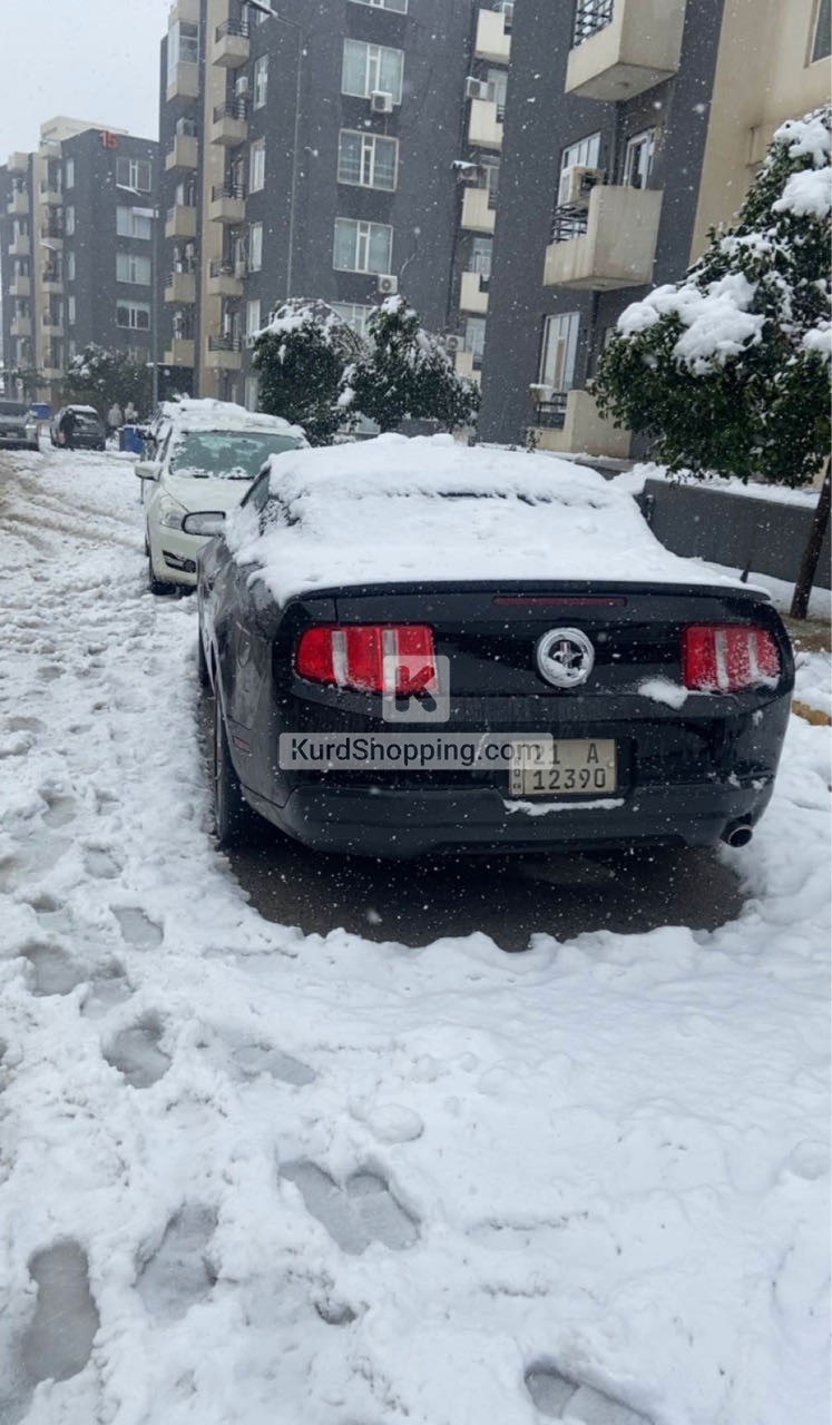 Ford Mustang 2010