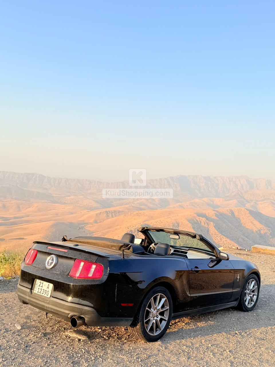 Ford Mustang 2010