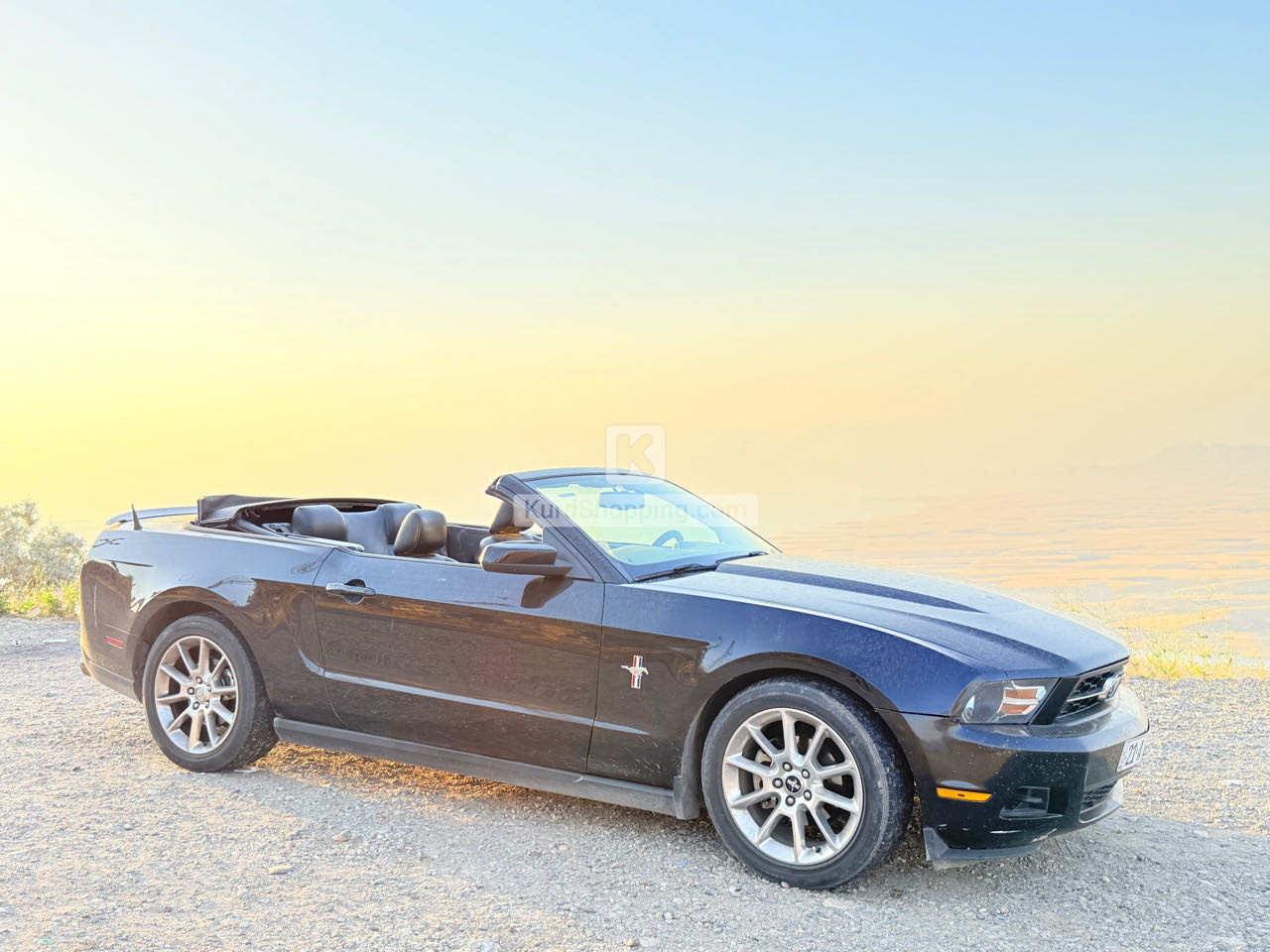Ford Mustang 2010