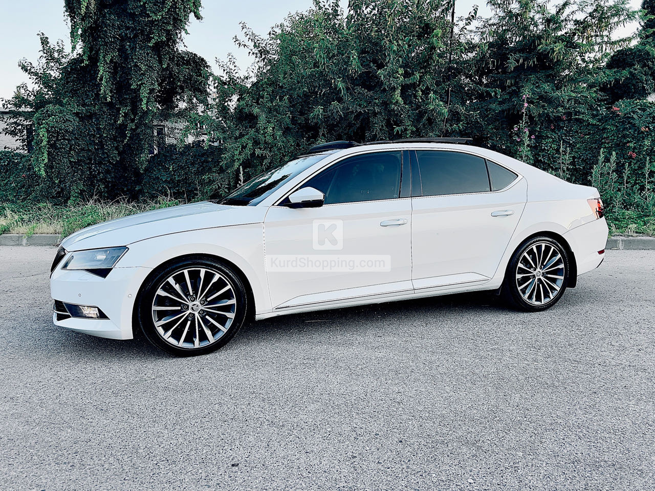 Skoda Supar 2019
