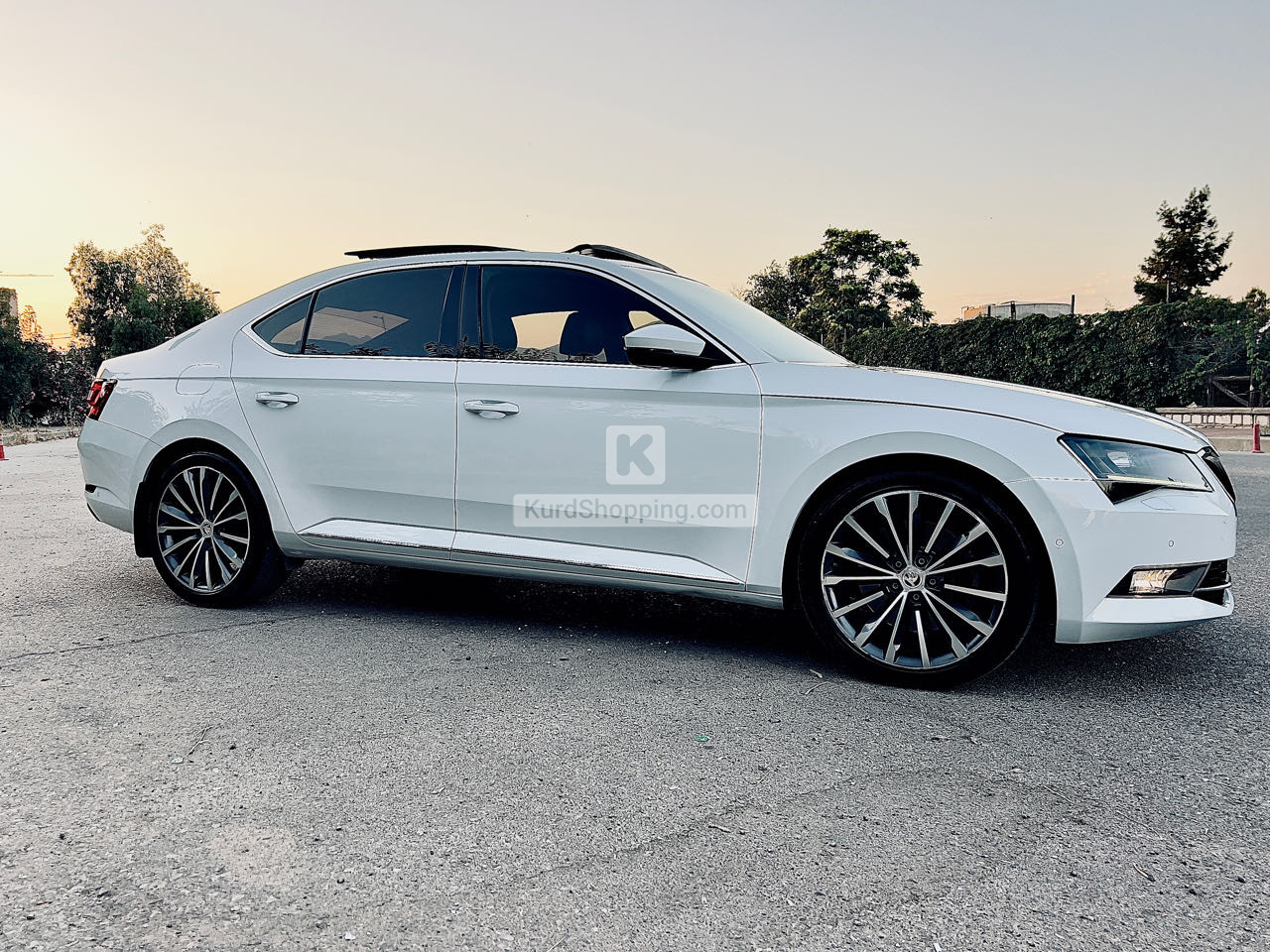 Skoda Supar 2019