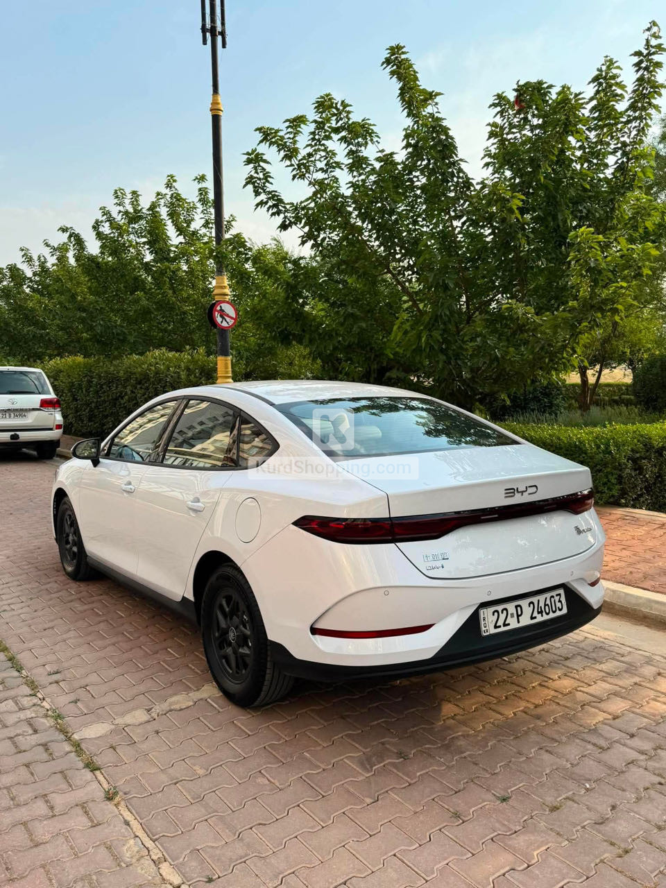 BYD QIN PLUS 2025