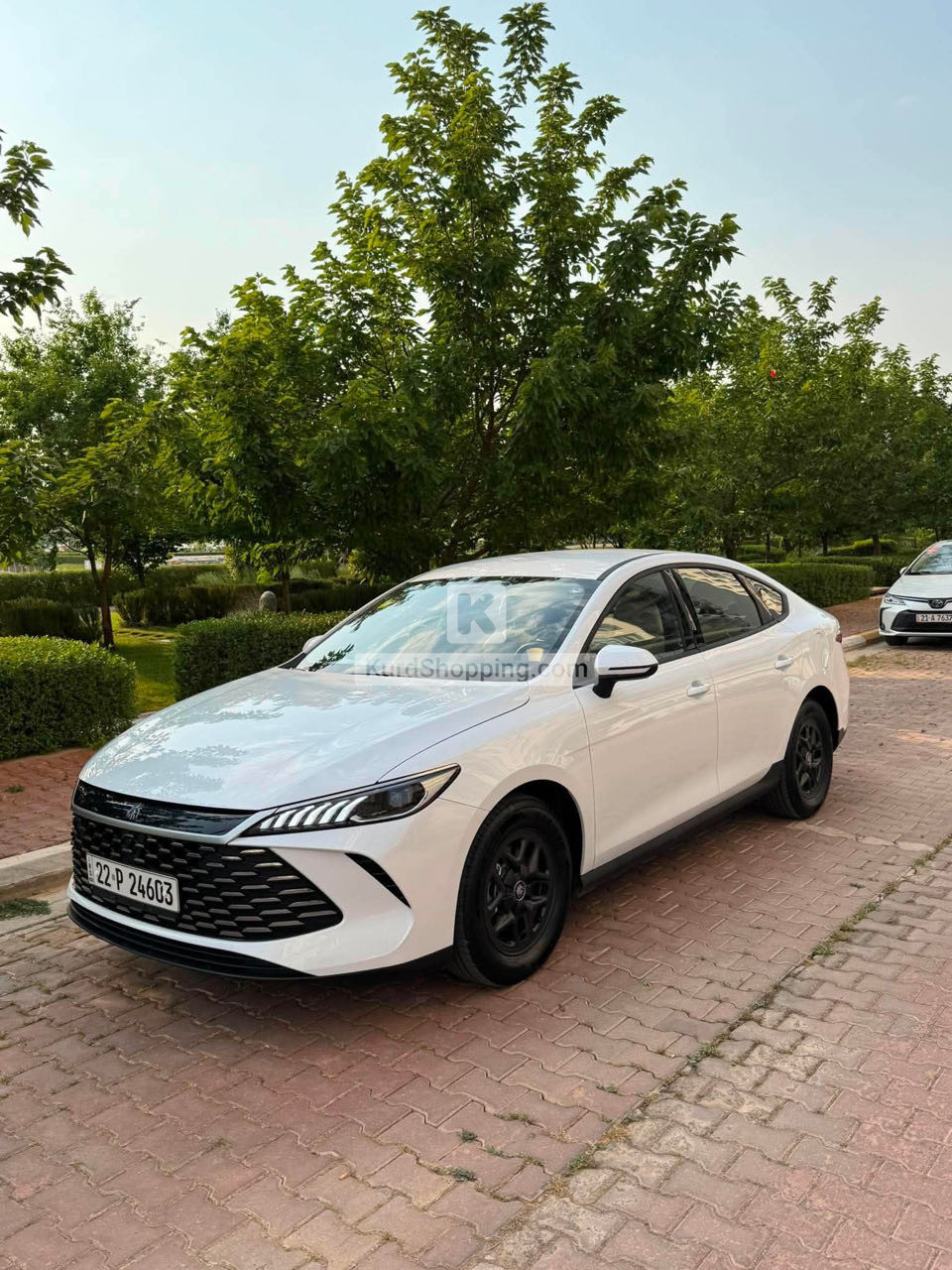 BYD QIN PLUS 2025