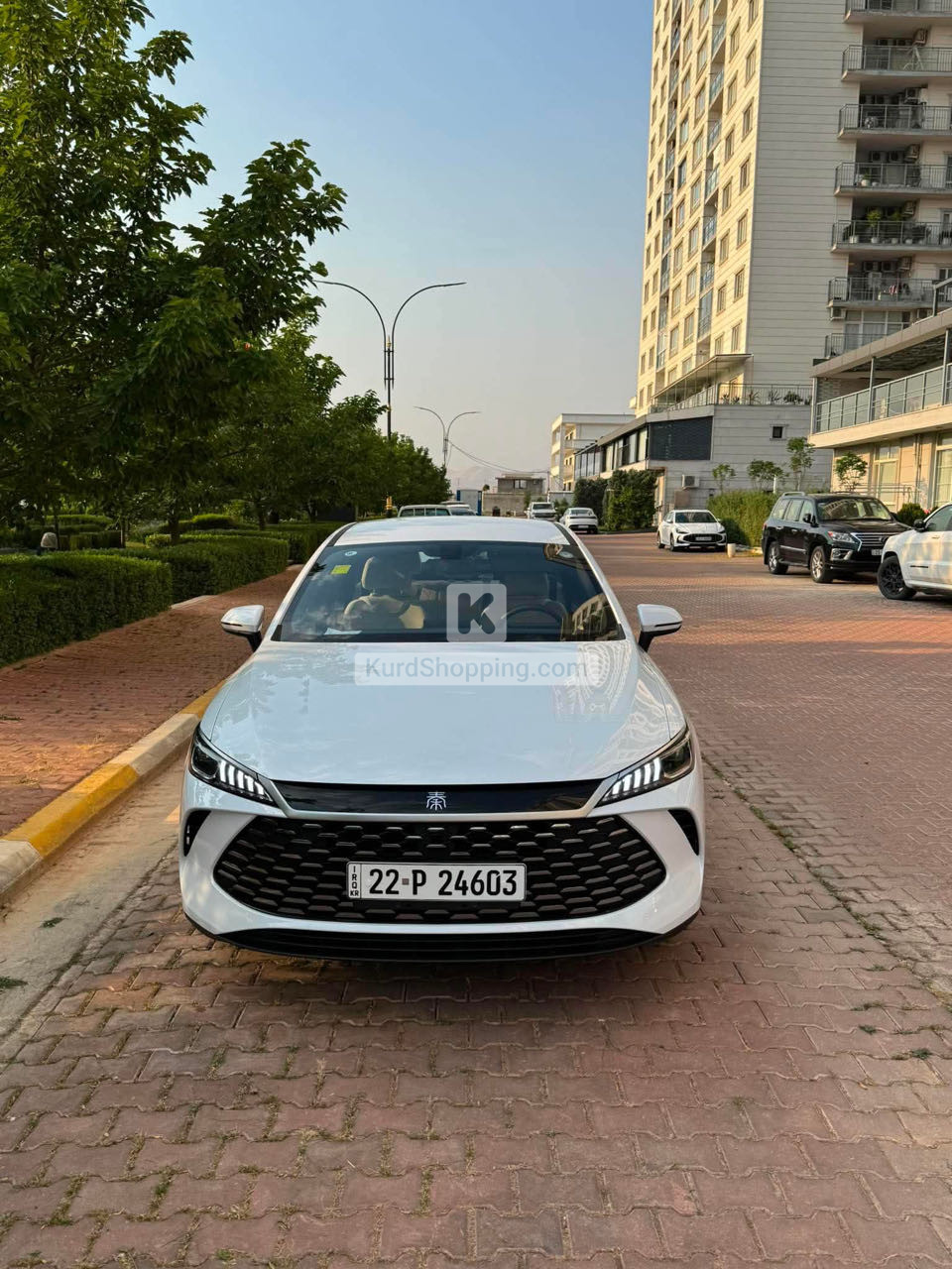 BYD QIN PLUS 2025